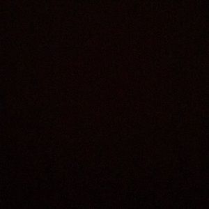 Meet your Posher, Timmy